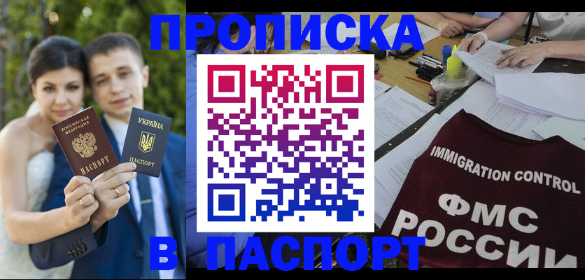 прописка иностранных граждан в Камчатской области